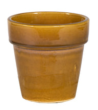 Grace Basic Pot Honey D15H15
