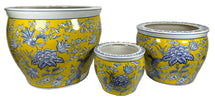 Qing Fishbowl Small Yellow/Blue S3 D15/36H12/26