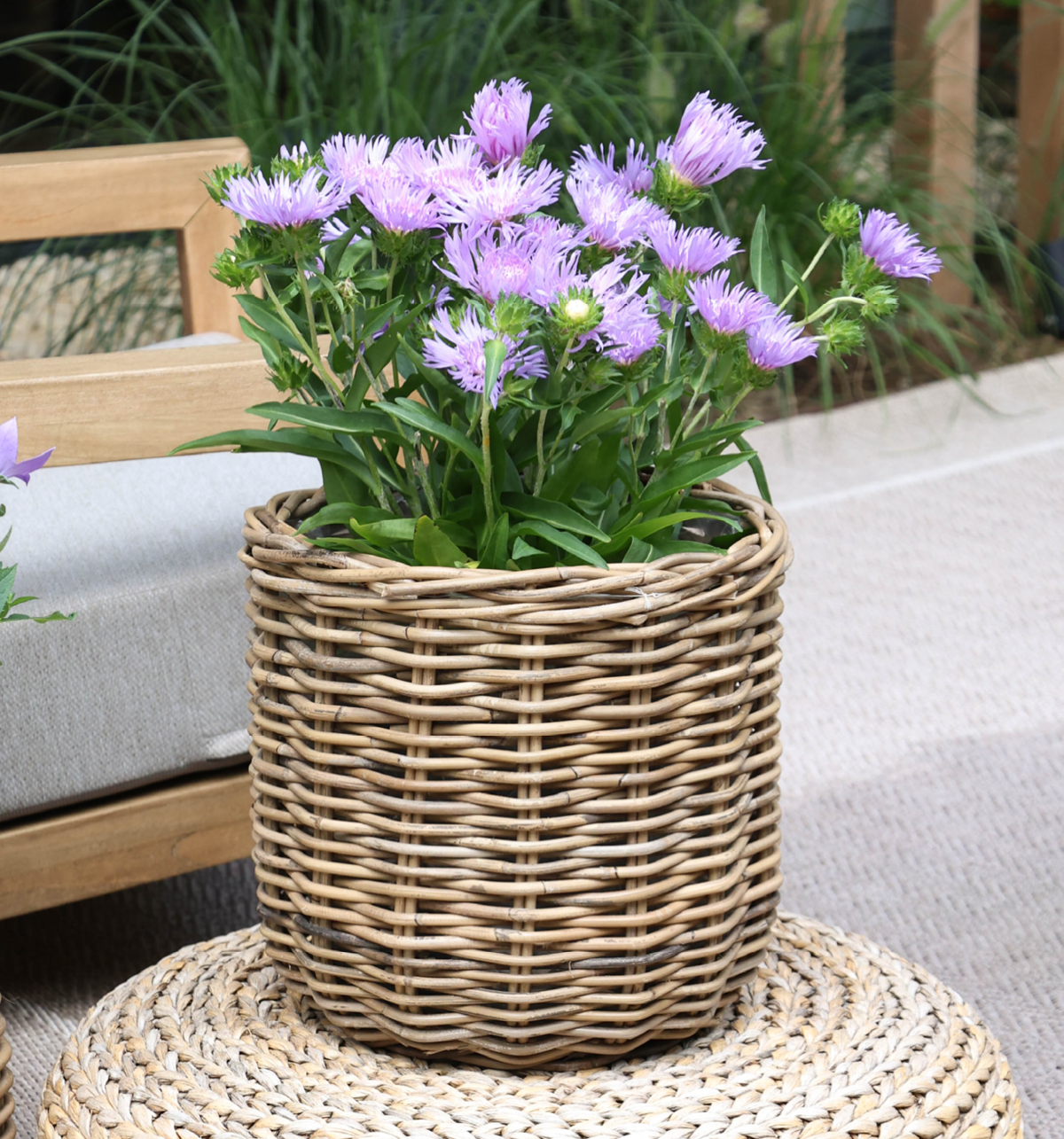 Rattan